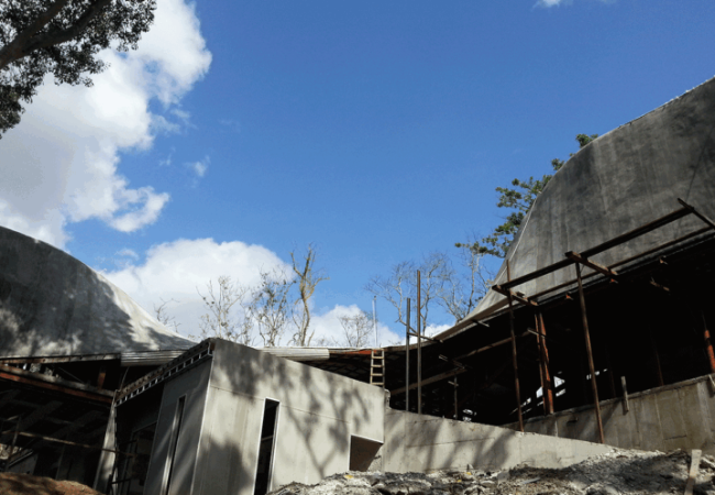 intermezzo-del-bosque-proyecto-770x497